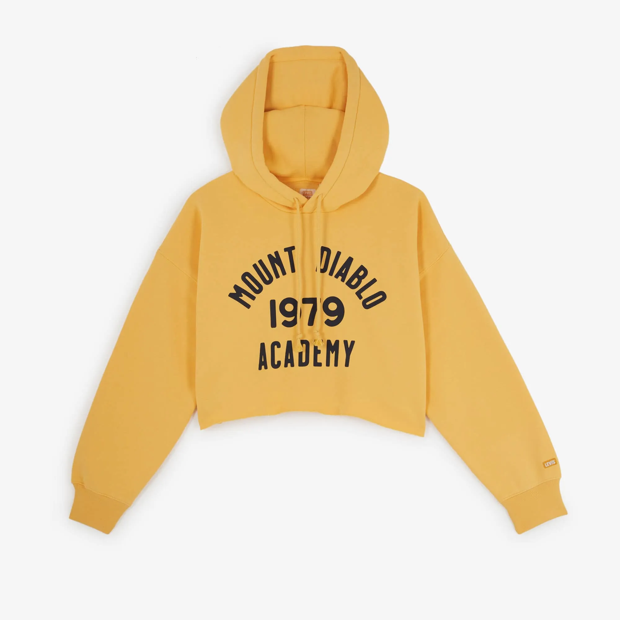 HOODIE CROPPED 90S GOLD TAB