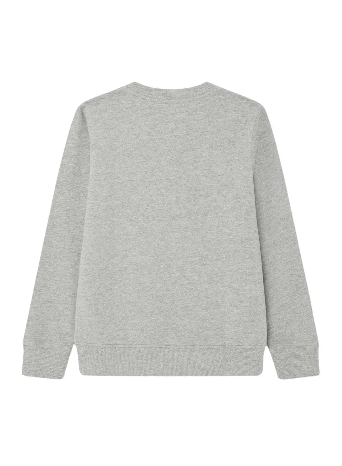 Sweat Pepe Jeans Eddie Crew Gris pour Enfant