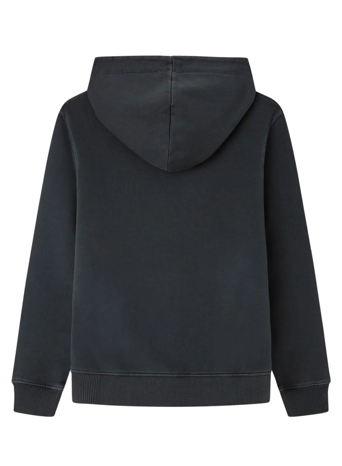 Sweat Pepe Jeans New Davide Hoodie Gris Enfant