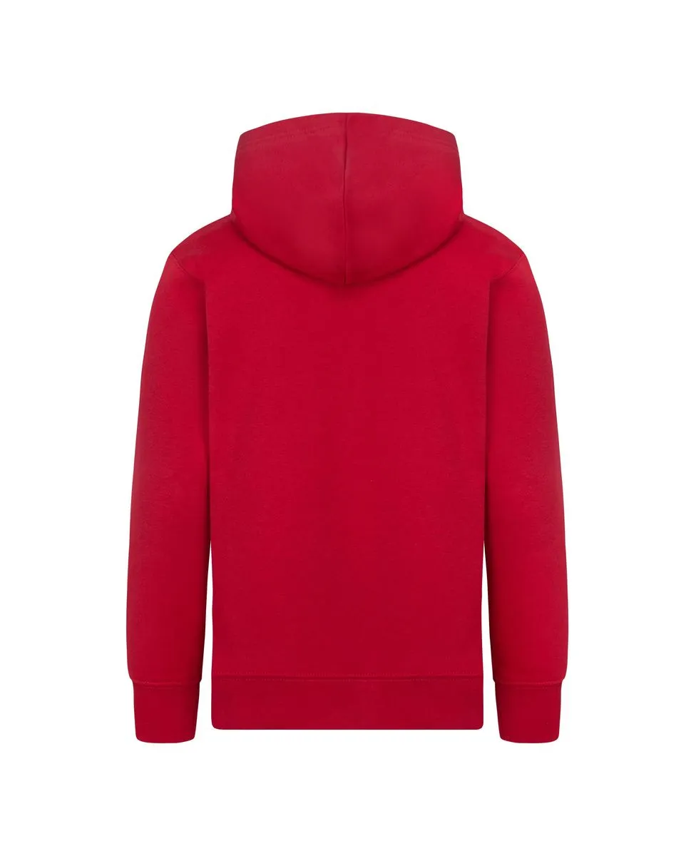 Sweat à capuche Garçon MJ ESSENTIALS PO HOODIE Rouge